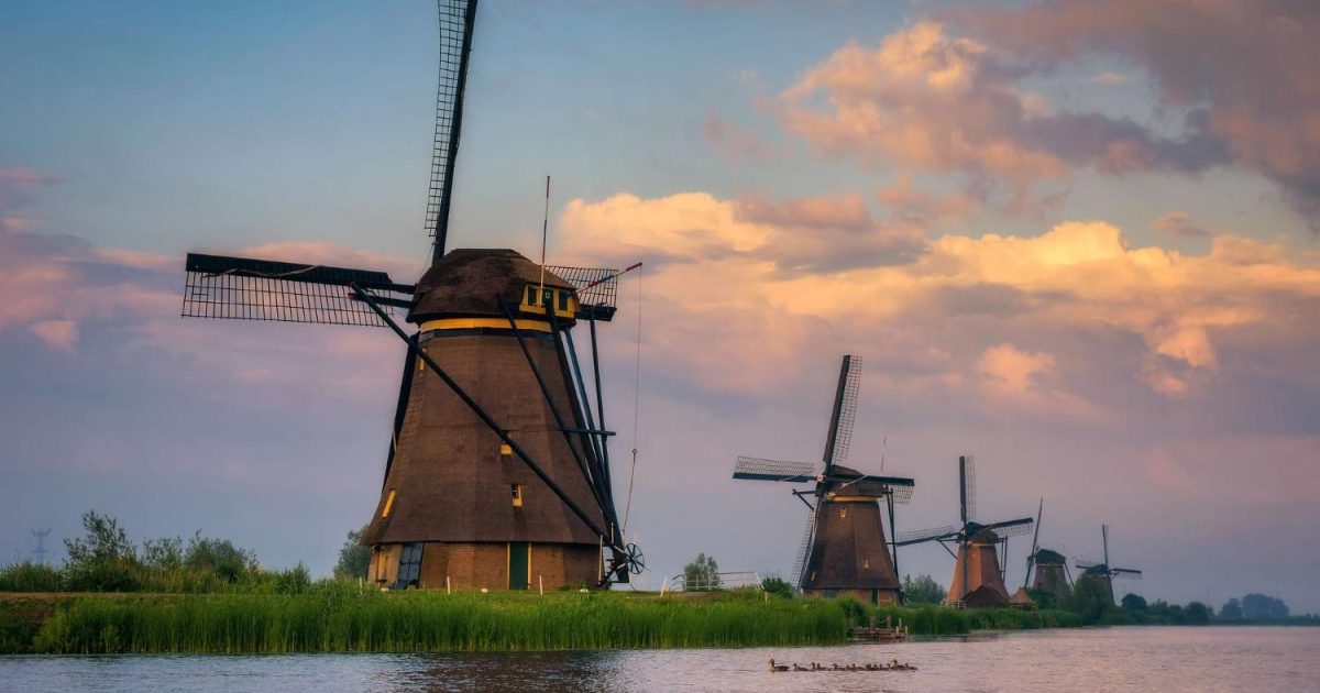 przewozy busami do holandii